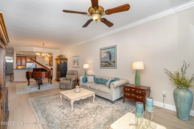 a living room with furniture potted plant and a ceiling fan
