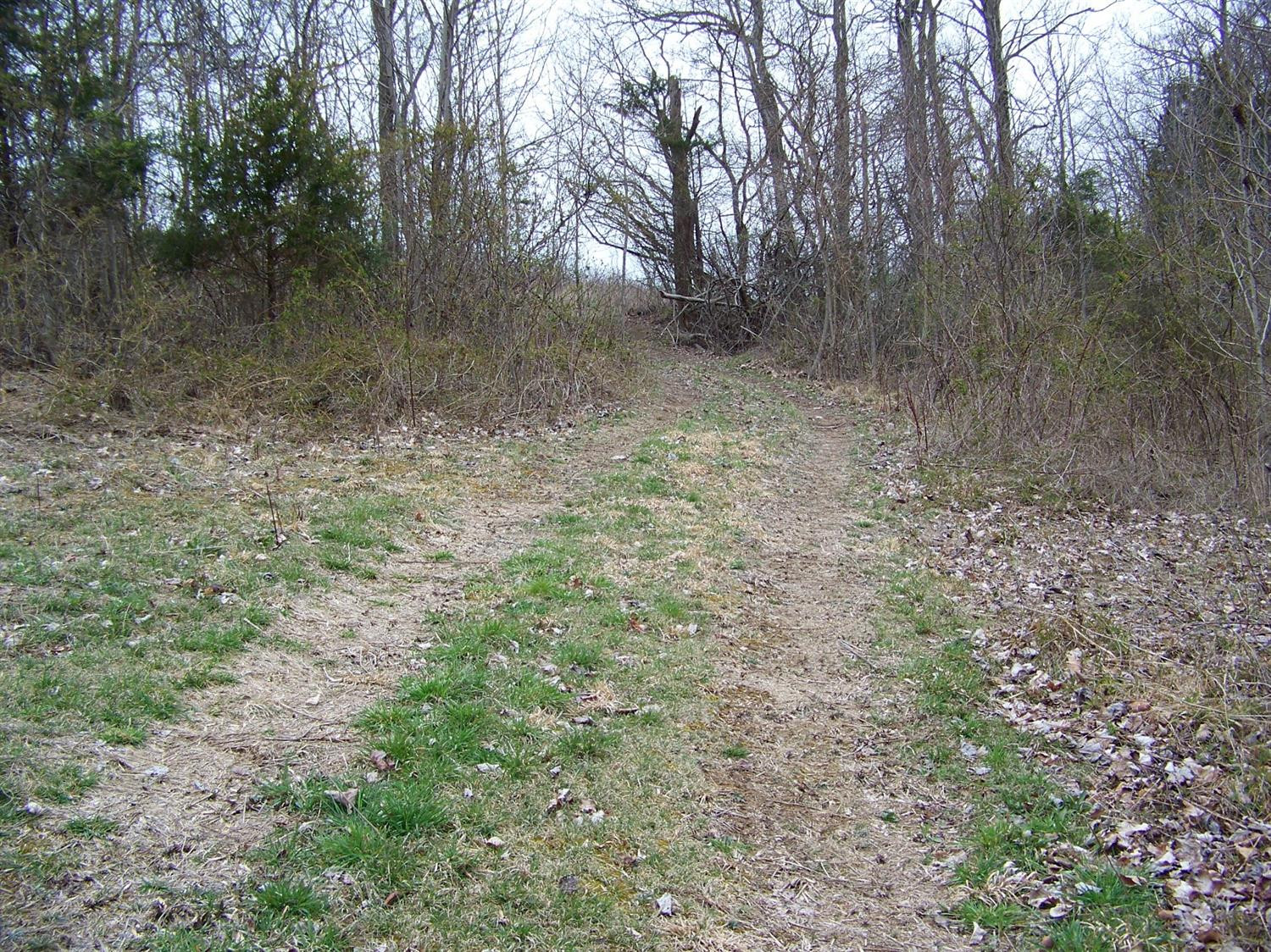 740 Horse Ridge Road Stanford, KY 40484 - Photo 8 of 22 Listing Photo