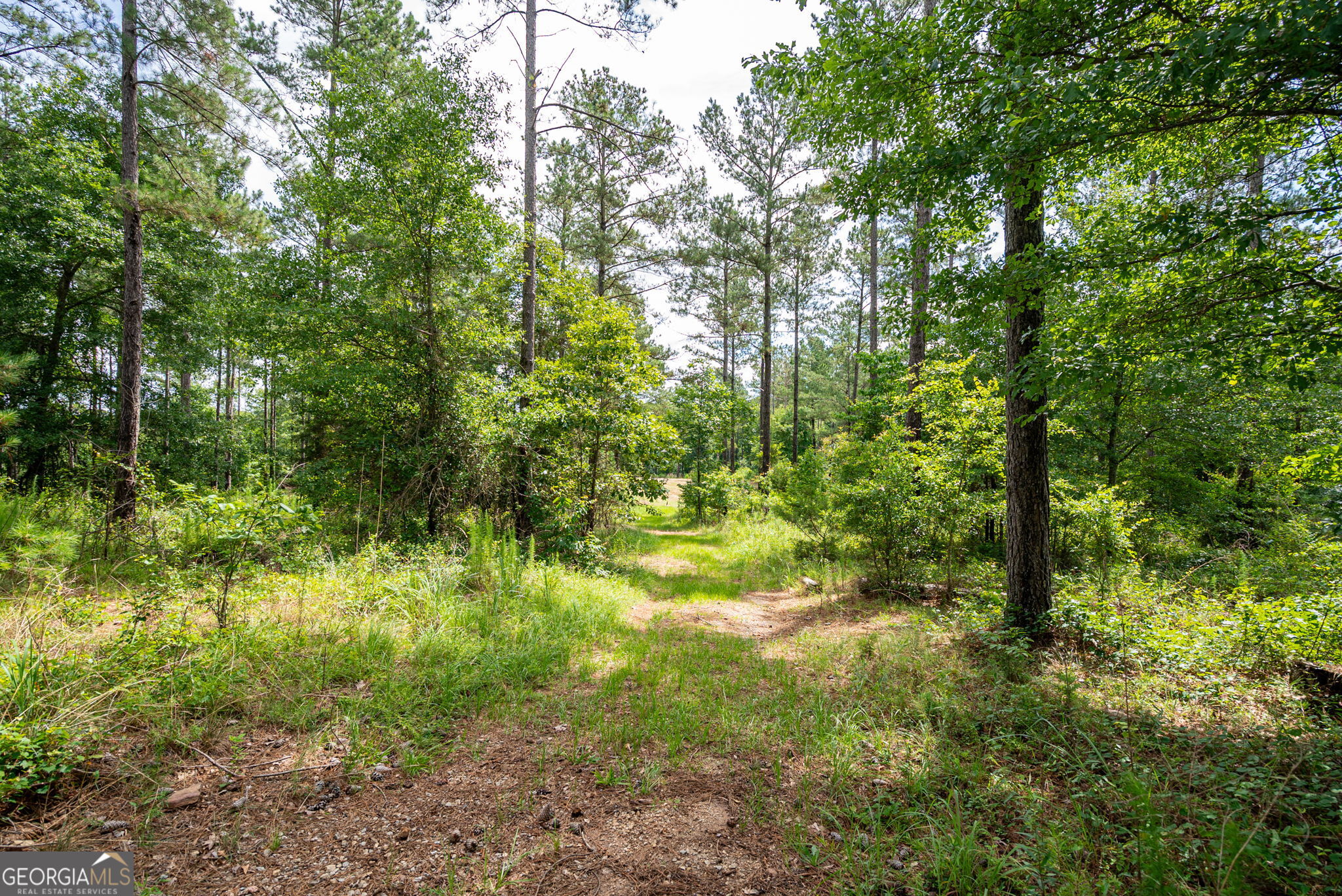 2286 Duffell Martin Road Comer, GA 30629 - Photo 38 of 81