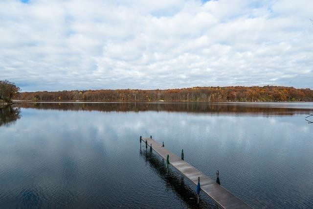 859 Highland Road Chelsea, MI 48118 - Photo 5 of 10 Crooked Lake