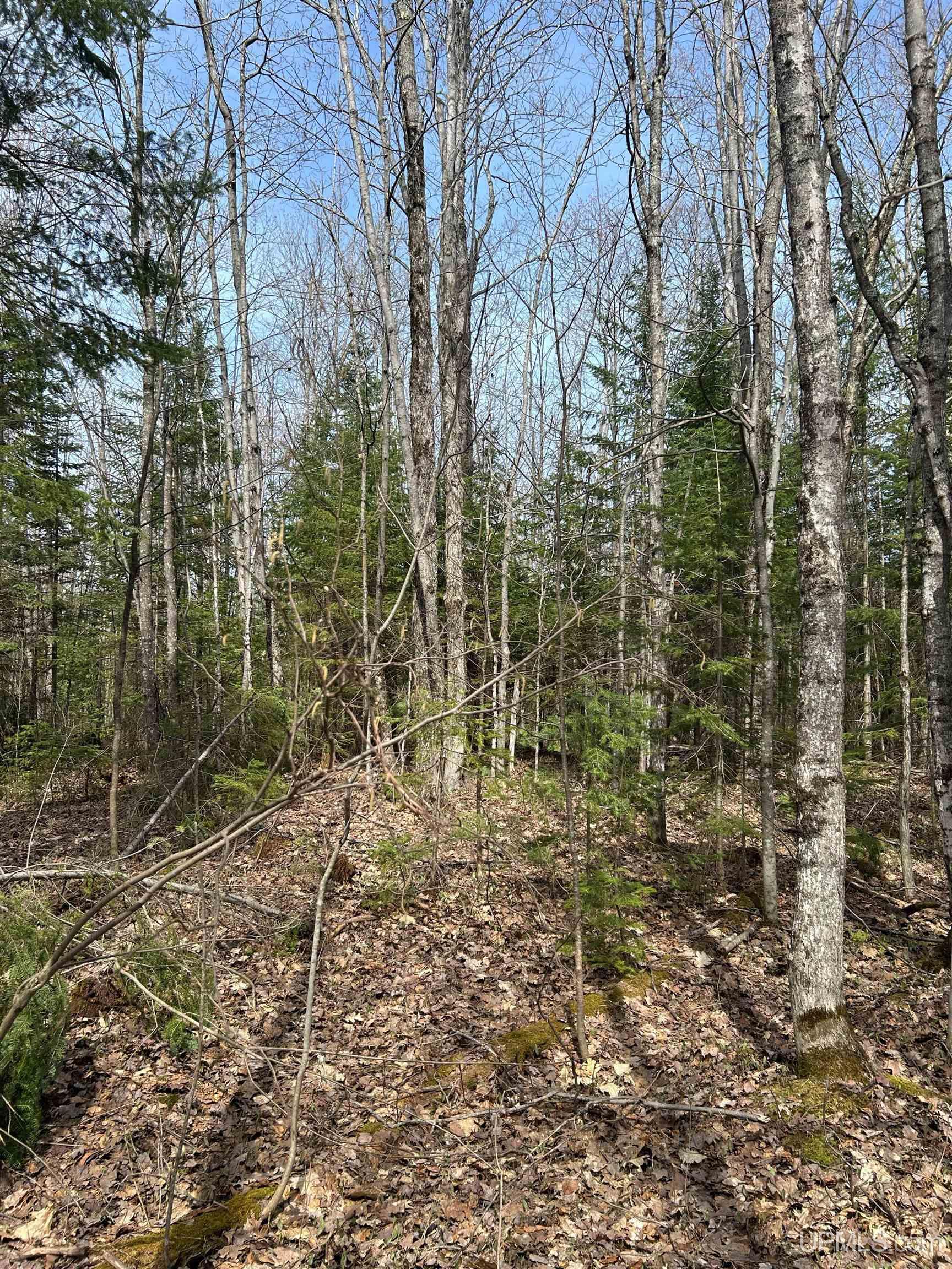 4-10 Firesteel Road Ontonagon, MI 49953 - Photo 3 of 28