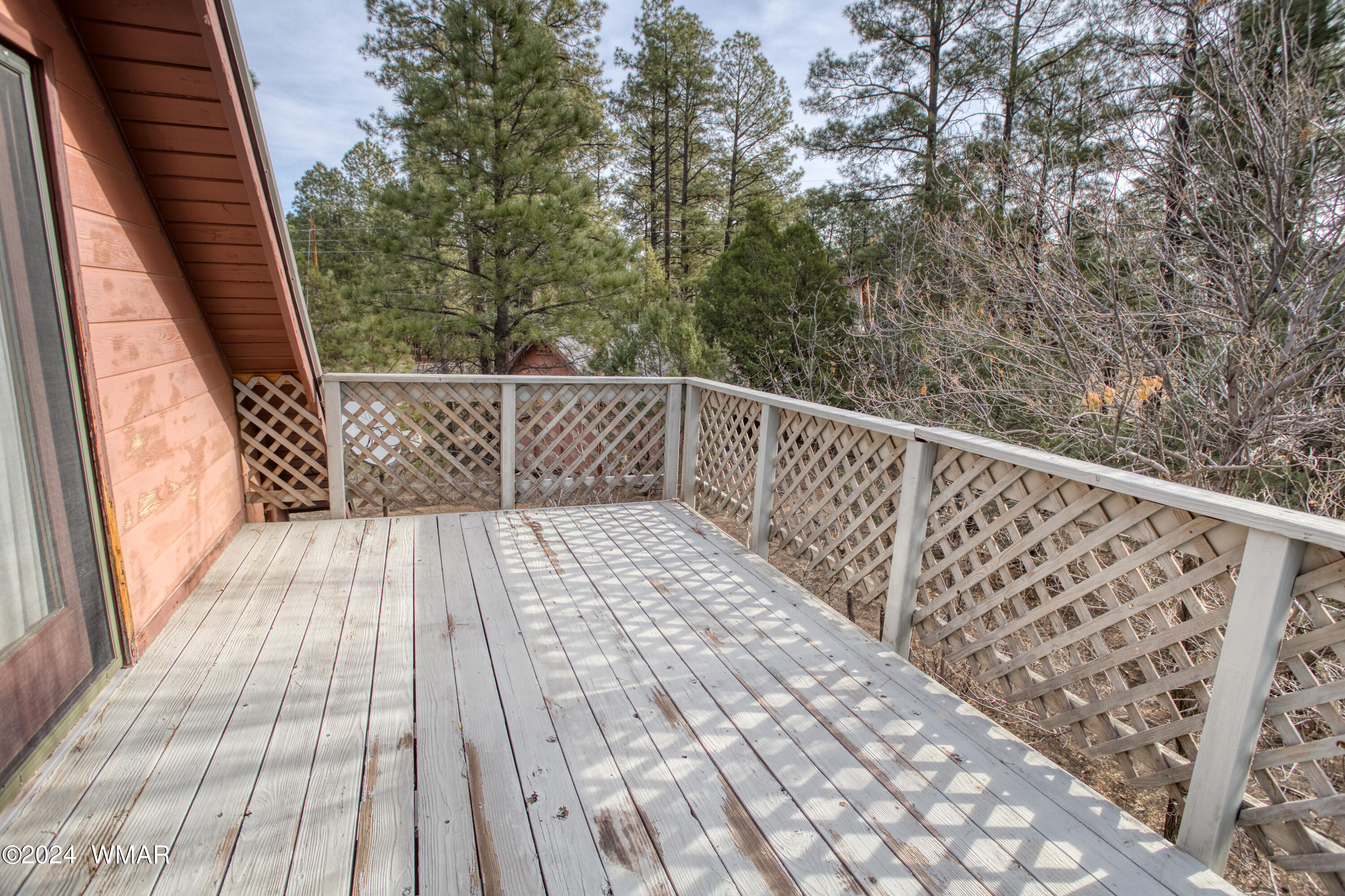 2121 Indian Trail Overgaard, AZ 85933 - Photo 14 of 20