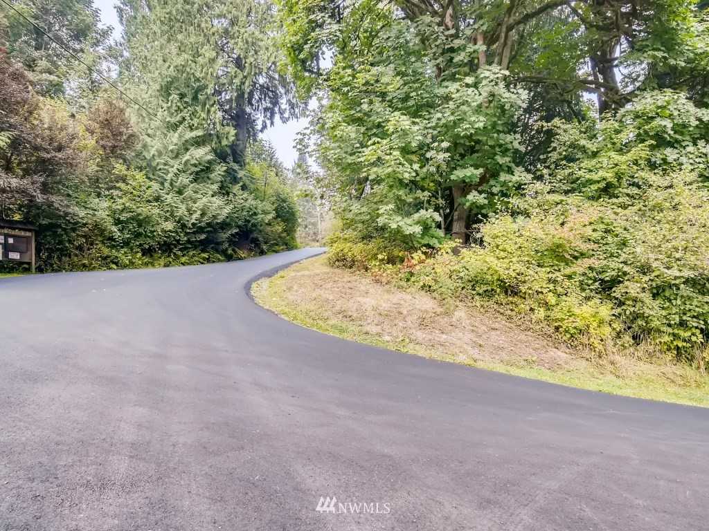 27930 Ben Howard Road Monroe, WA 98272 - Photo 3 of 9 a view of a dry yard with a tree