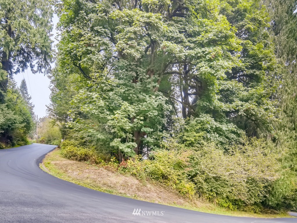 27930 Ben Howard Road Monroe, WA 98272 - Photo 5 of 9