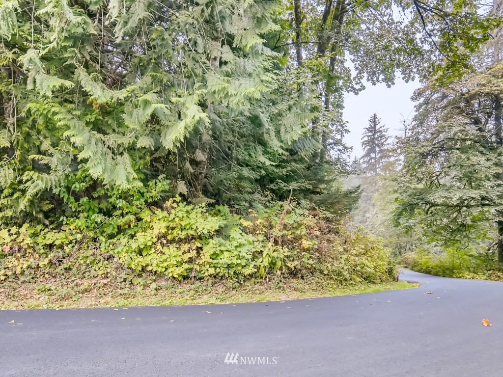 27930 Ben Howard Road Monroe, WA 98272 - Photo 7 of 9 a view of a garden with a plant