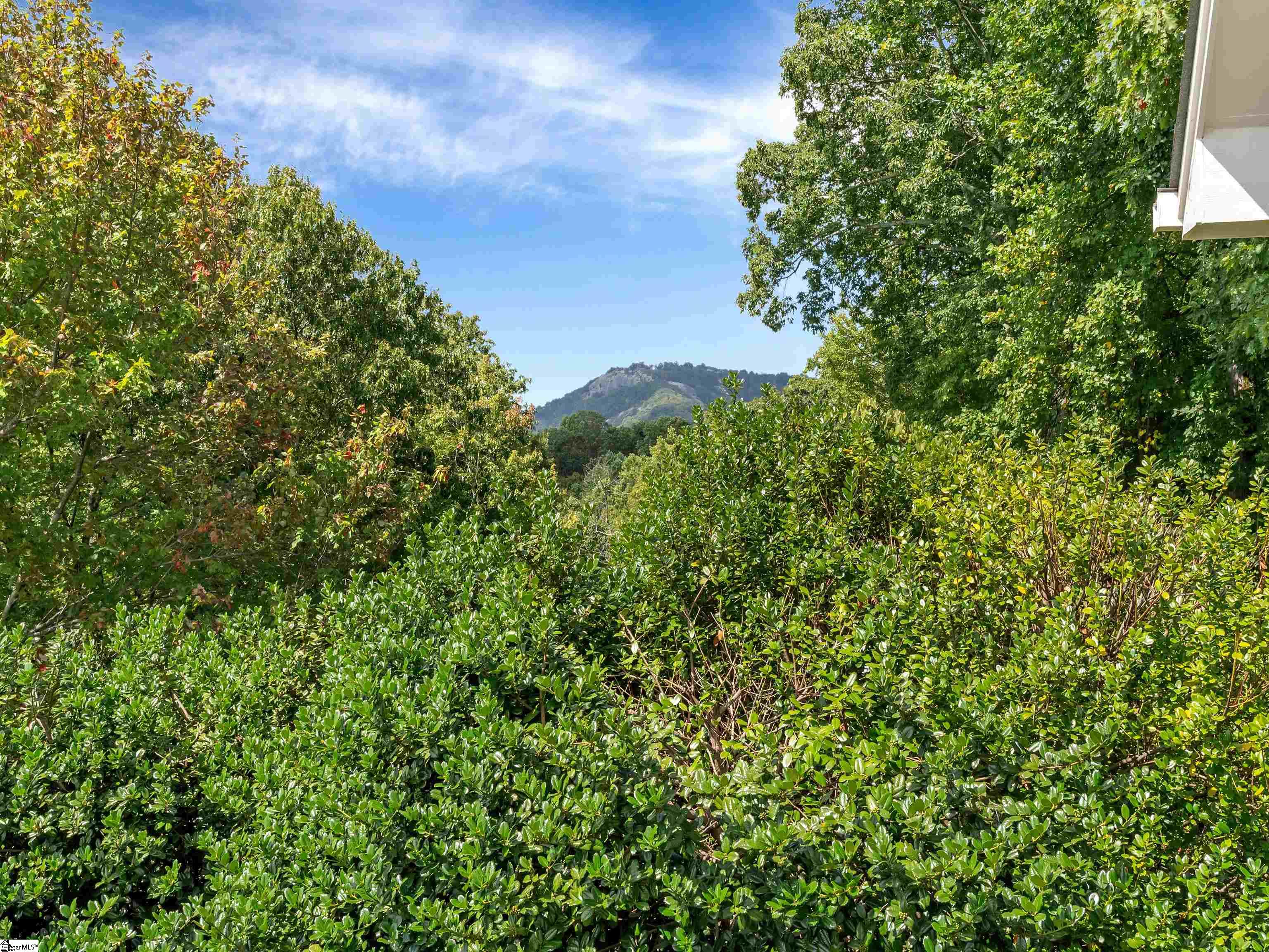 118 Blue Teal Way Landrum, SC 29356 - Photo 30 of 32