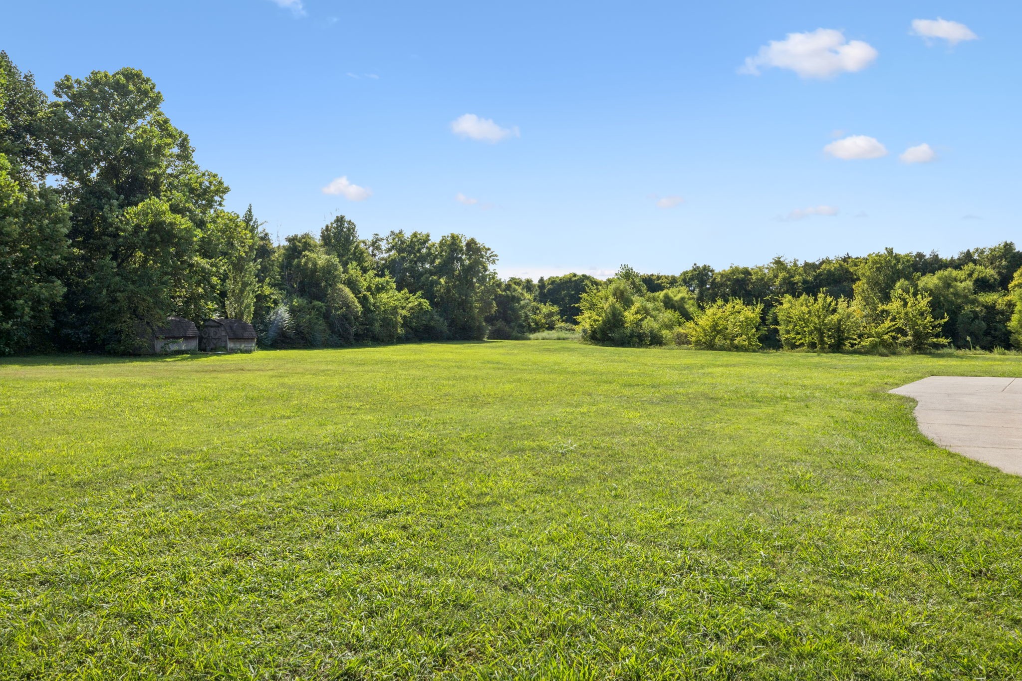 5000 Rucker Christiana Road Christiana, TN 37037 - Photo 66 of 73 a view of a big yard with a house in the background