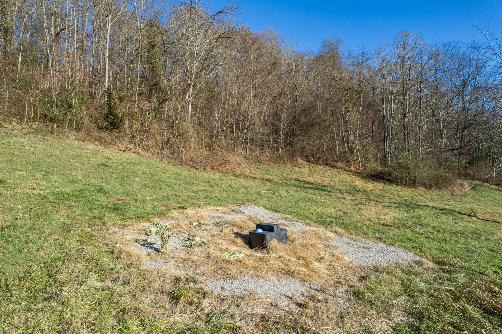 2149 Talley Road Belfast, TN 37019 - Photo 11 of 20