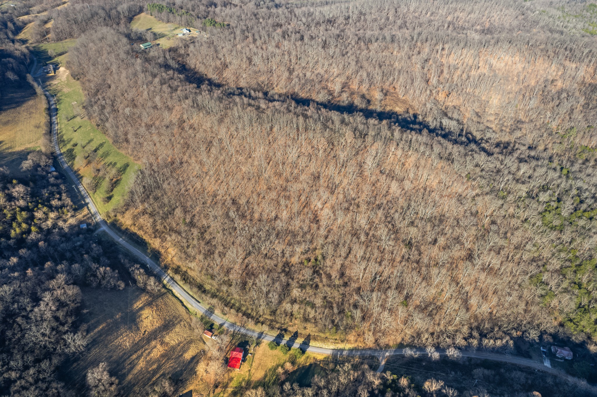 2149 Talley Road Belfast, TN 37019 - Photo 19 of 20