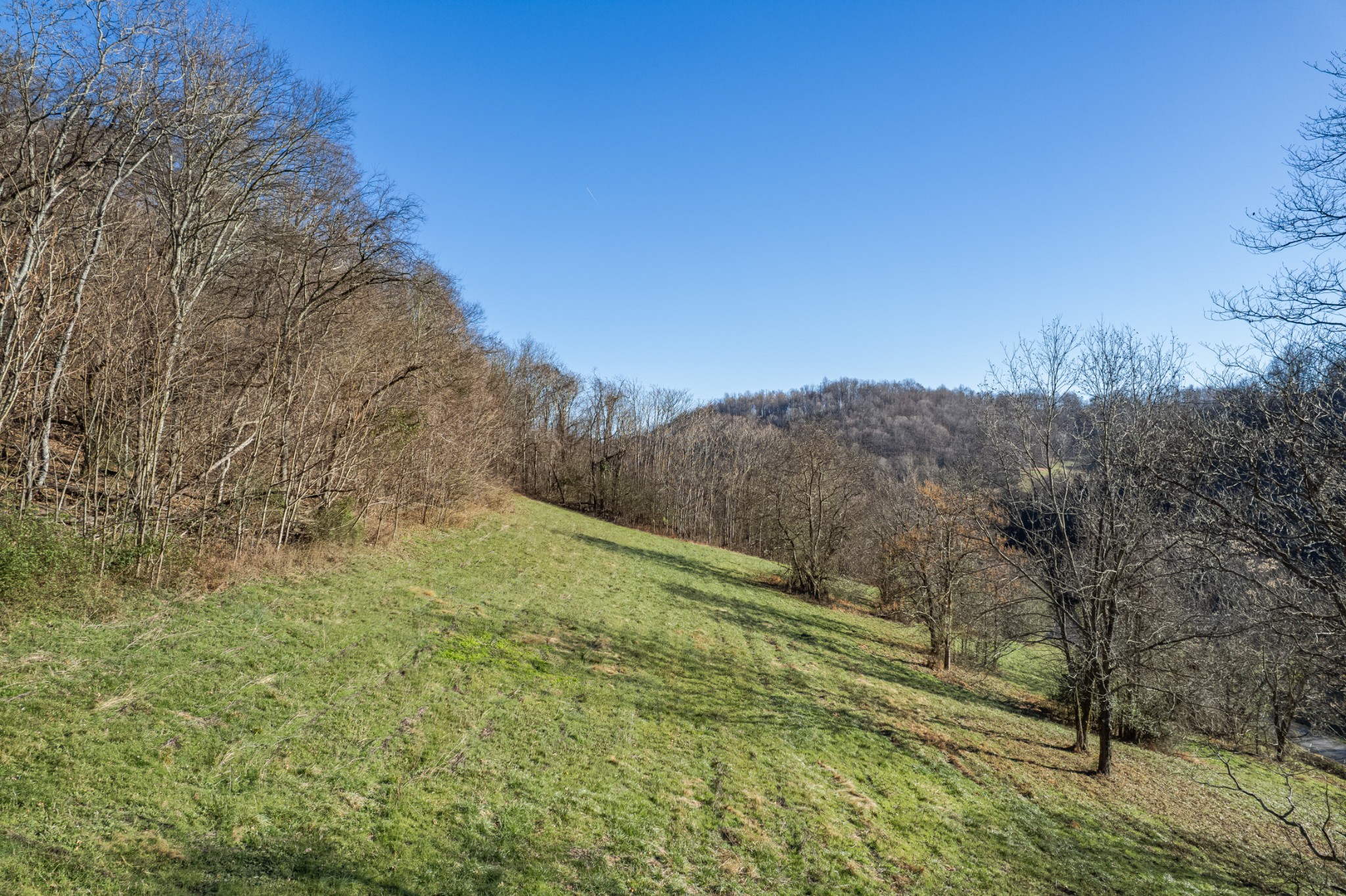 2149 Talley Road Belfast, TN 37019 - Photo 4 of 20