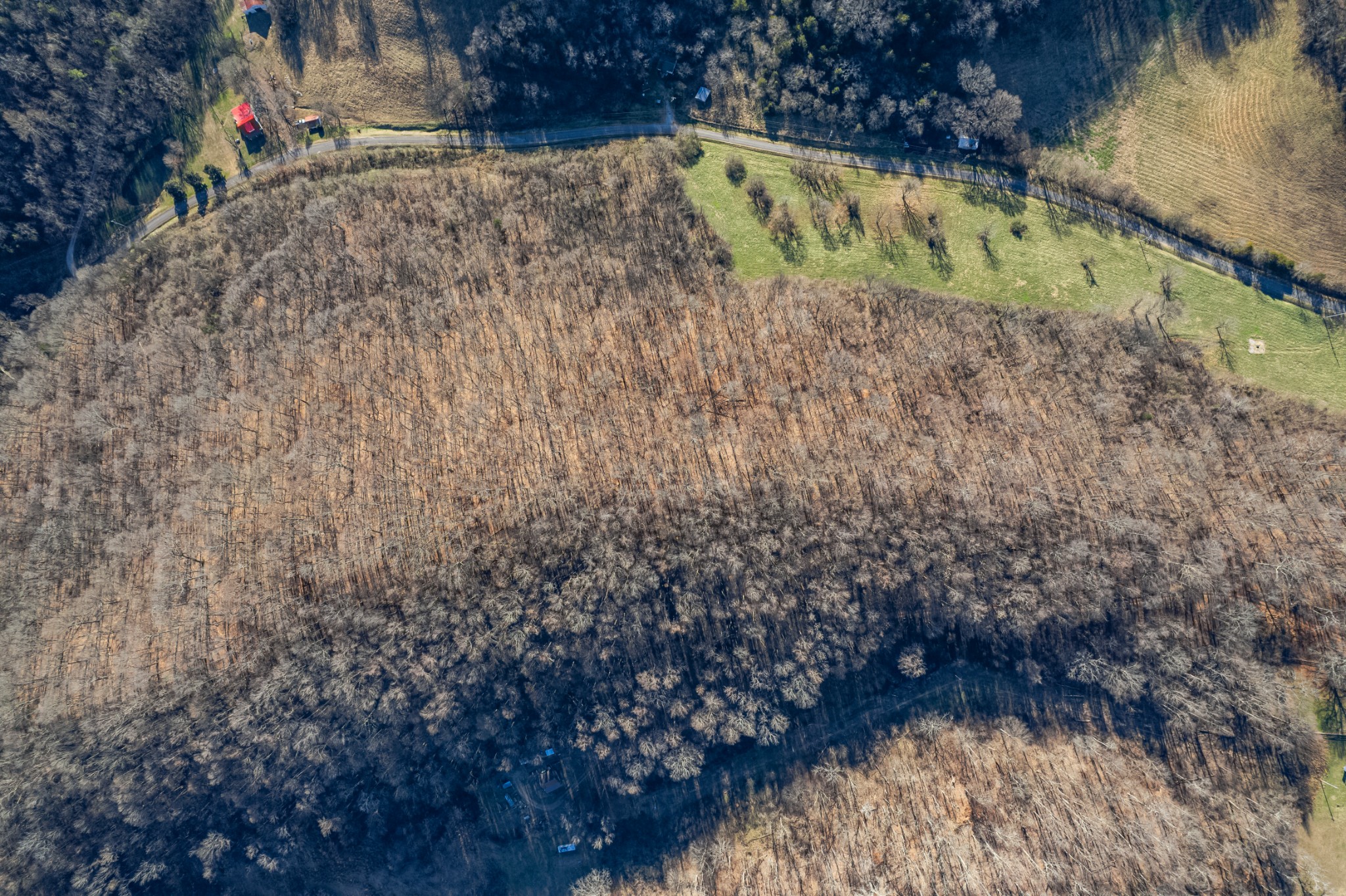 2149 Talley Road Belfast, TN 37019 - Photo 8 of 20