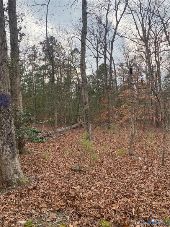 0 Courtney Road Hanover, VA 23069 - Photo 4 of 6 View of nature