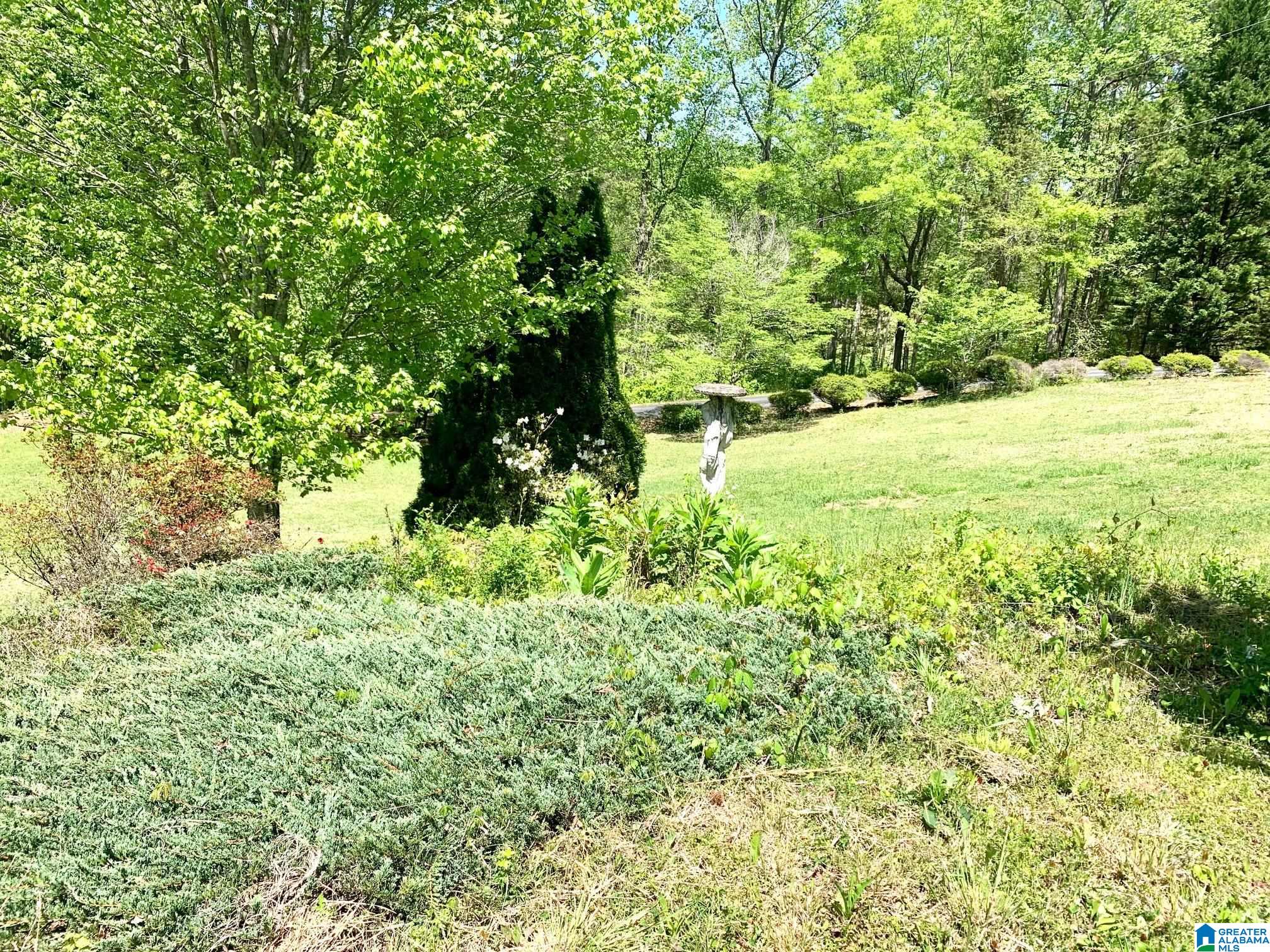 788 River Road Heflin, AL 36264 - Photo 14 of 47