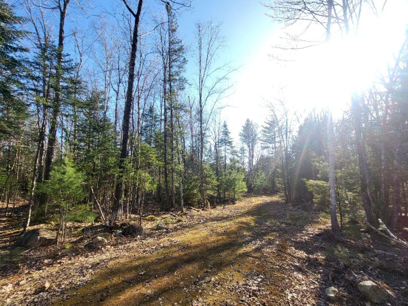 Lot 18 L15-3 Coburn Road Carthage, ME 04224 - Photo 4 of 16 20240422_170613_resized_result