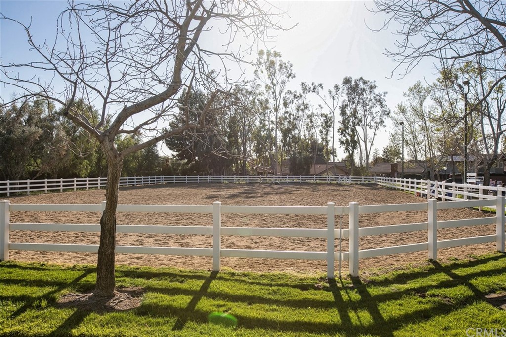 7314 East Equitation Way Orange, CA 92869 - Photo 35 of 37 a view of a yard with an empty space