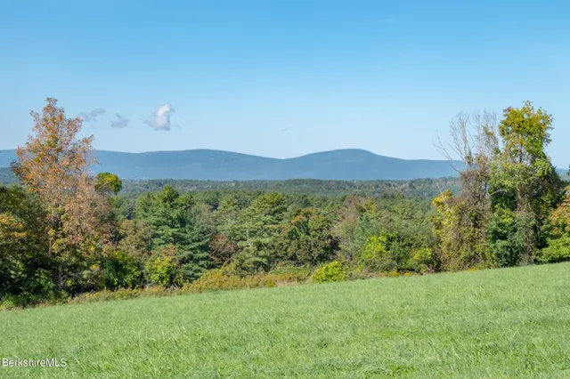 a view of backyard with mountain view