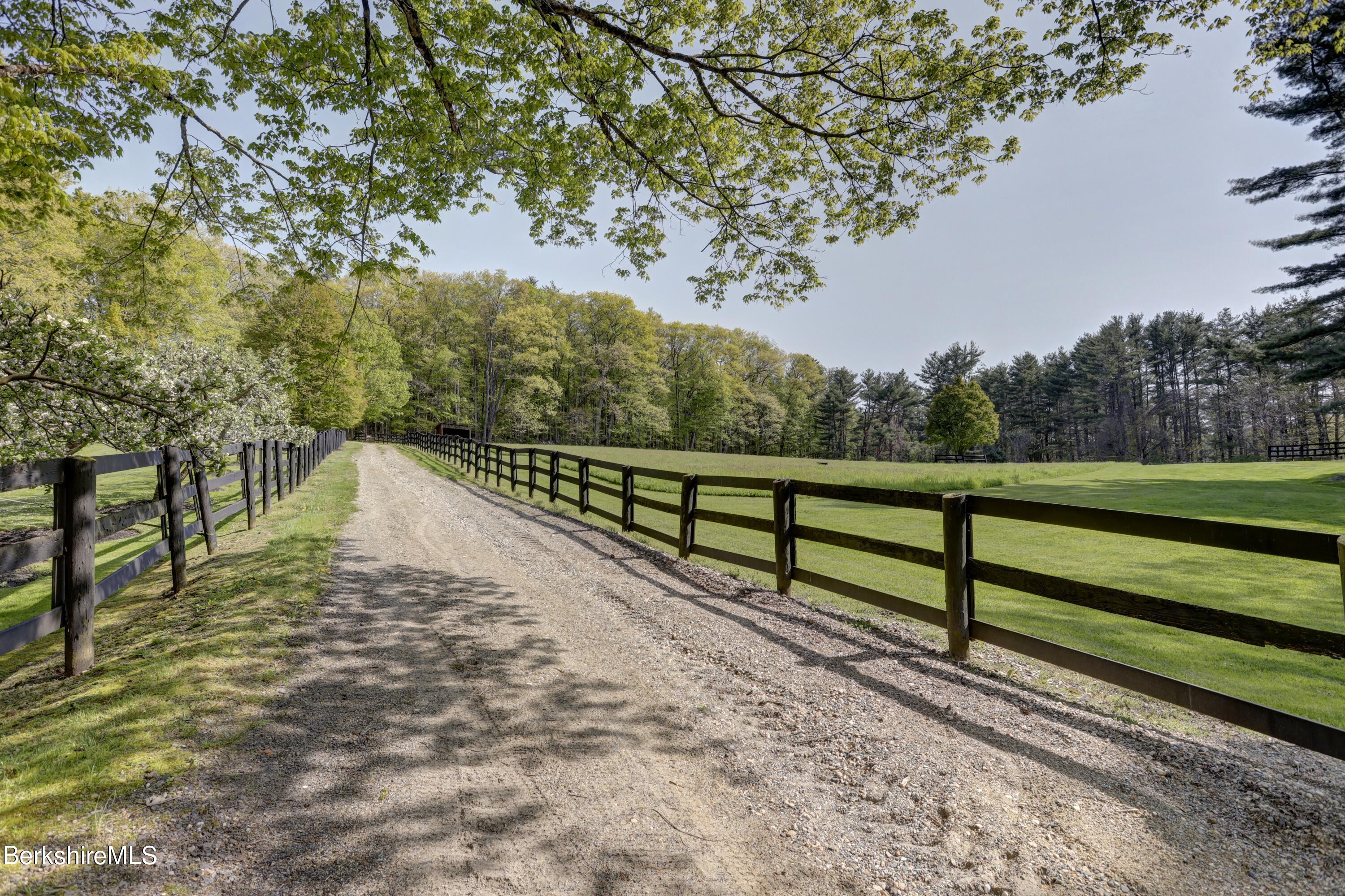185 Keyes Hill Road New Marlborough, MA 01259 - Photo 39 of 49 a view of park with trees