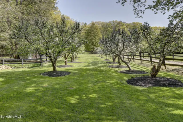a view of a park with large trees