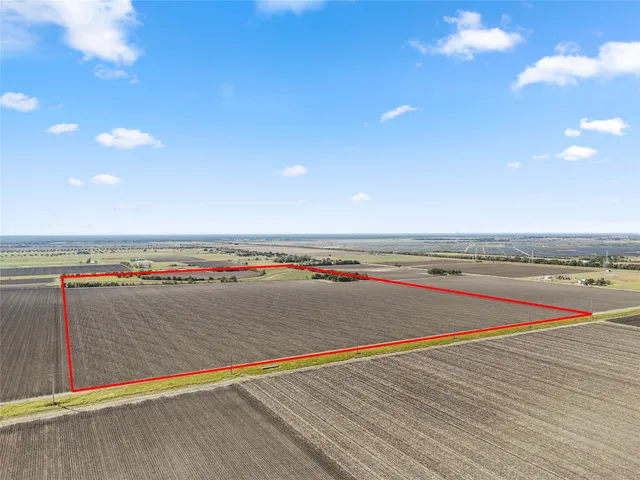 a view of an empty room with wooden floor and carpet