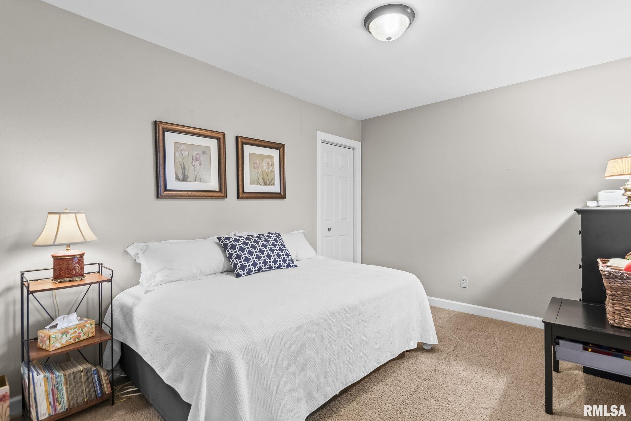 56 Bonnie Brook Road Chatham, IL 62629 - Photo 25 of 31 Gallery Image 25