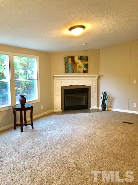 300 Rougemont Road Rougemont, NC 27572 - Photo 7 of 21