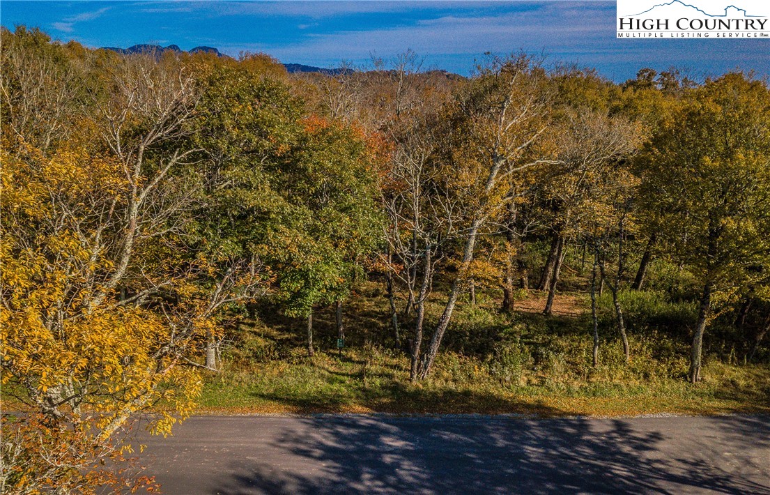 Lot 196 Green Cliffs Road Sugar Mountain, NC 28604 - Photo 2 of 10 a view of a yard with wooden fence