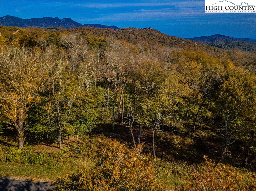 Lot 196 Green Cliffs Road Sugar Mountain, NC 28604 - Photo 3 of 10 a view of mountain