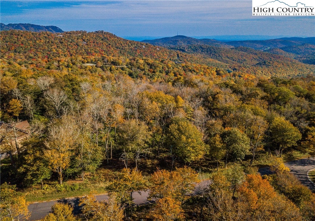 Lot 196 Green Cliffs Road Sugar Mountain, NC 28604 - Photo 4 of 10