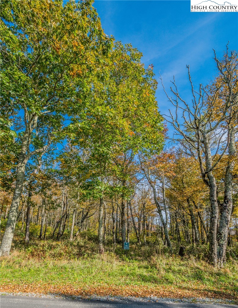 Lot 196 Green Cliffs Road Sugar Mountain, NC 28604 - Photo 5 of 10 a view of backyard with wooden fence