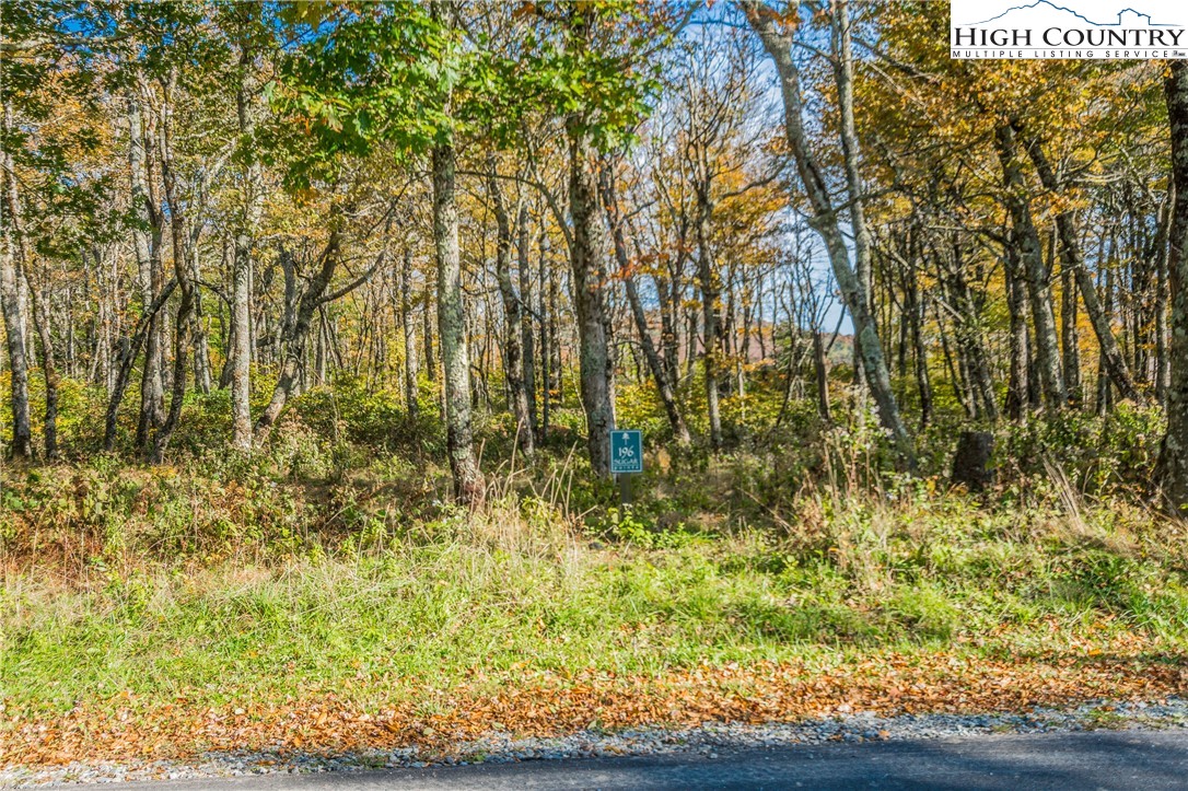 Lot 196 Green Cliffs Road Sugar Mountain, NC 28604 - Photo 7 of 10 a bathroom with a small yard