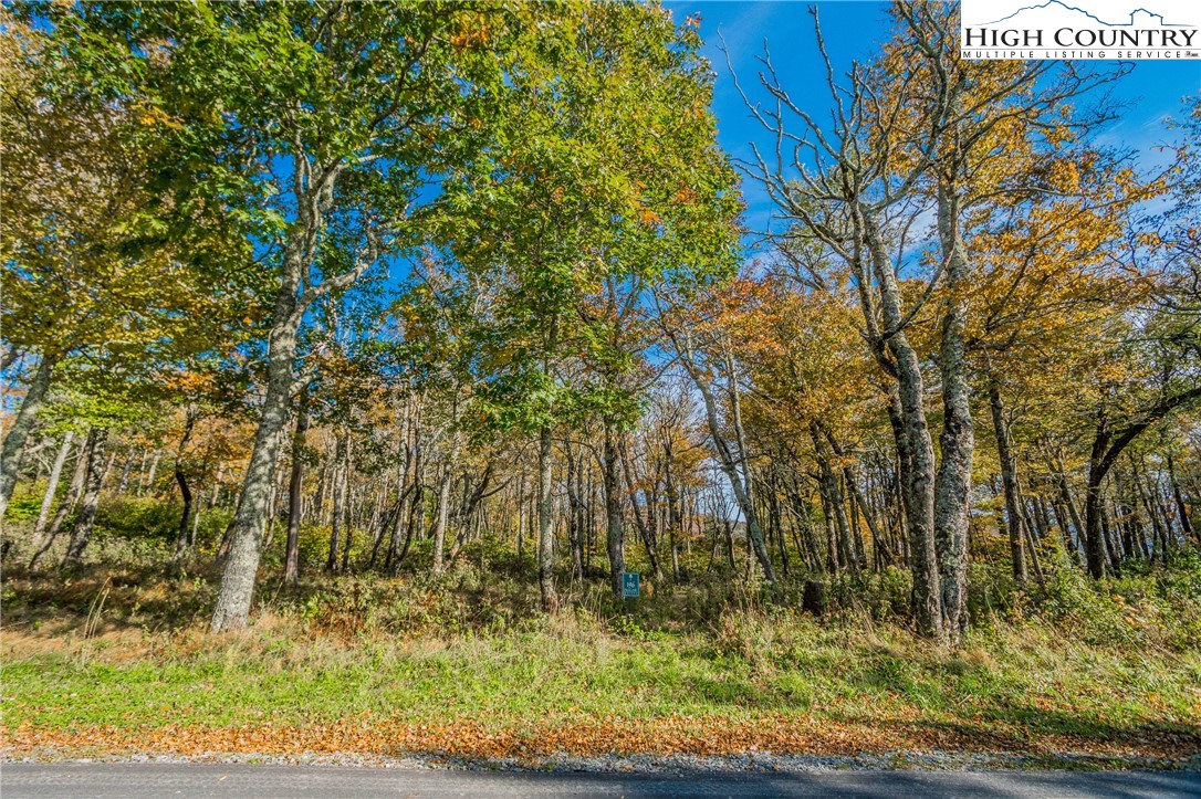 Lot 196 Green Cliffs Road Sugar Mountain, NC 28604 - Photo 8 of 10 a view of backyard with green space