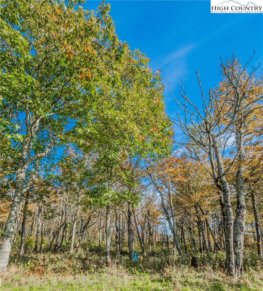 Lot 196 Green Cliffs Road Sugar Mountain, NC 28604 - Photo 9 of 10 a backyard of a house with lots of green space