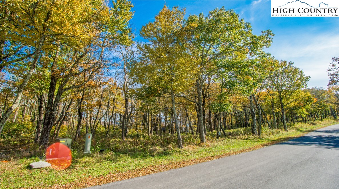 Lot 196 Green Cliffs Road Sugar Mountain, NC 28604 - Photo 10 of 10 a palm tree sitting in a yard next to a building