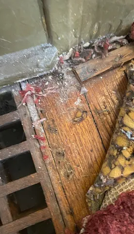 $170,000 | 1225 East 71st Place, Chicago, IL 60619