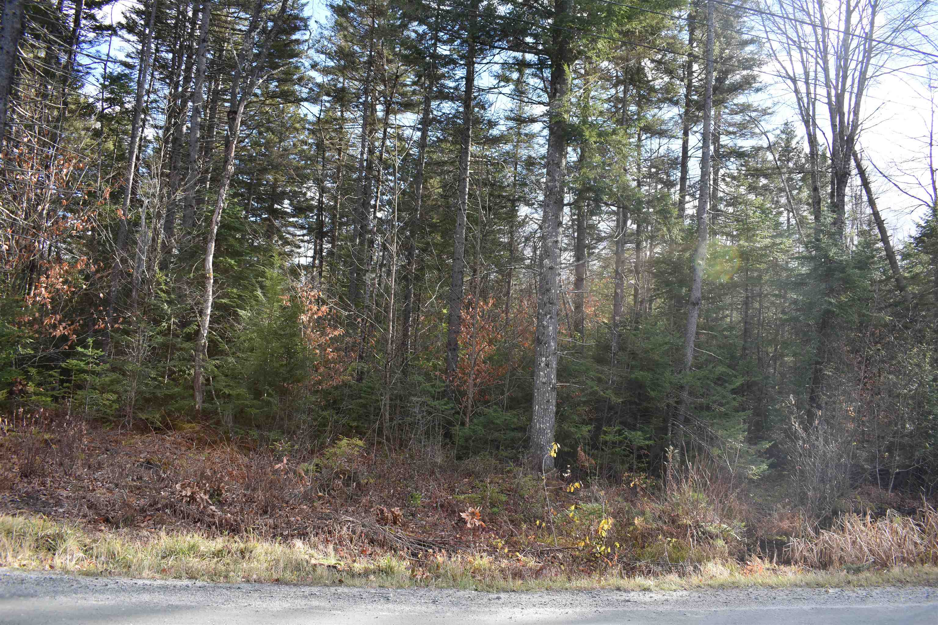 0 Grafton Pond Road Enfield, NH 03748 - Photo 5 of 24