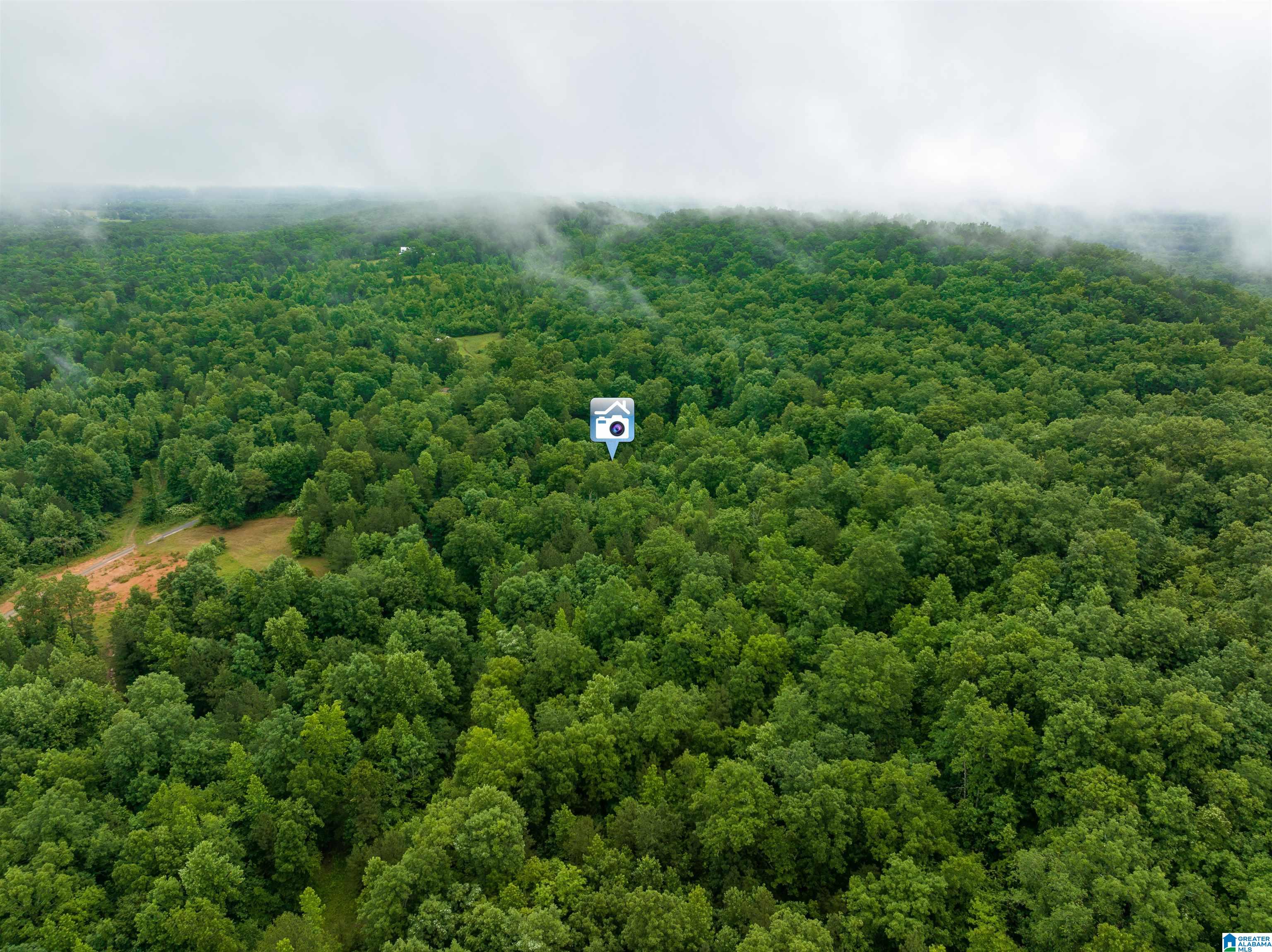 0 Crawford Cove Road Springville, AL 35146 - Photo 6 of 11