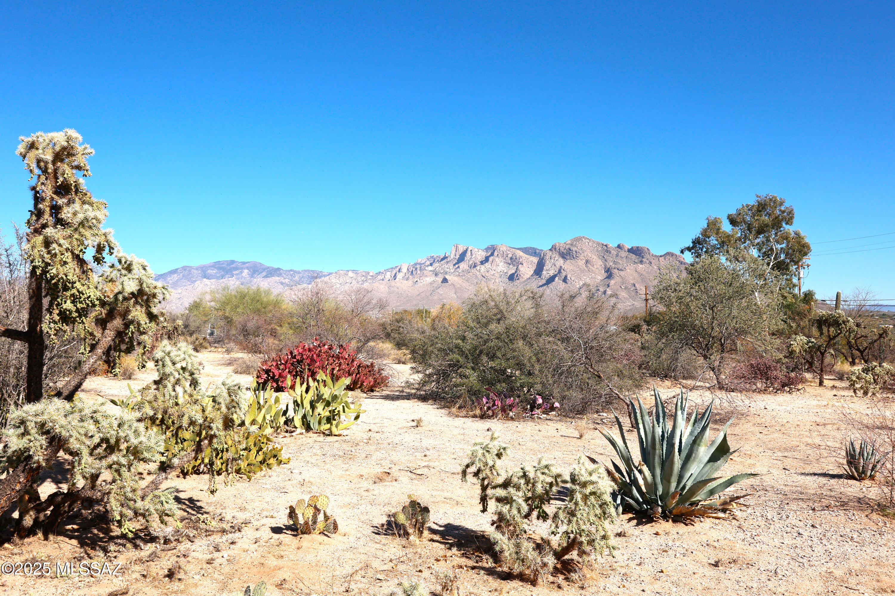 2040 West Lucero Road Oro Valley, AZ 85737 - Photo 38 of 46