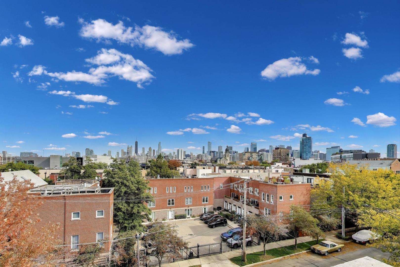 932 North Racine Avenue, Unit 2S Chicago, IL 60642 - Photo 29 of 29