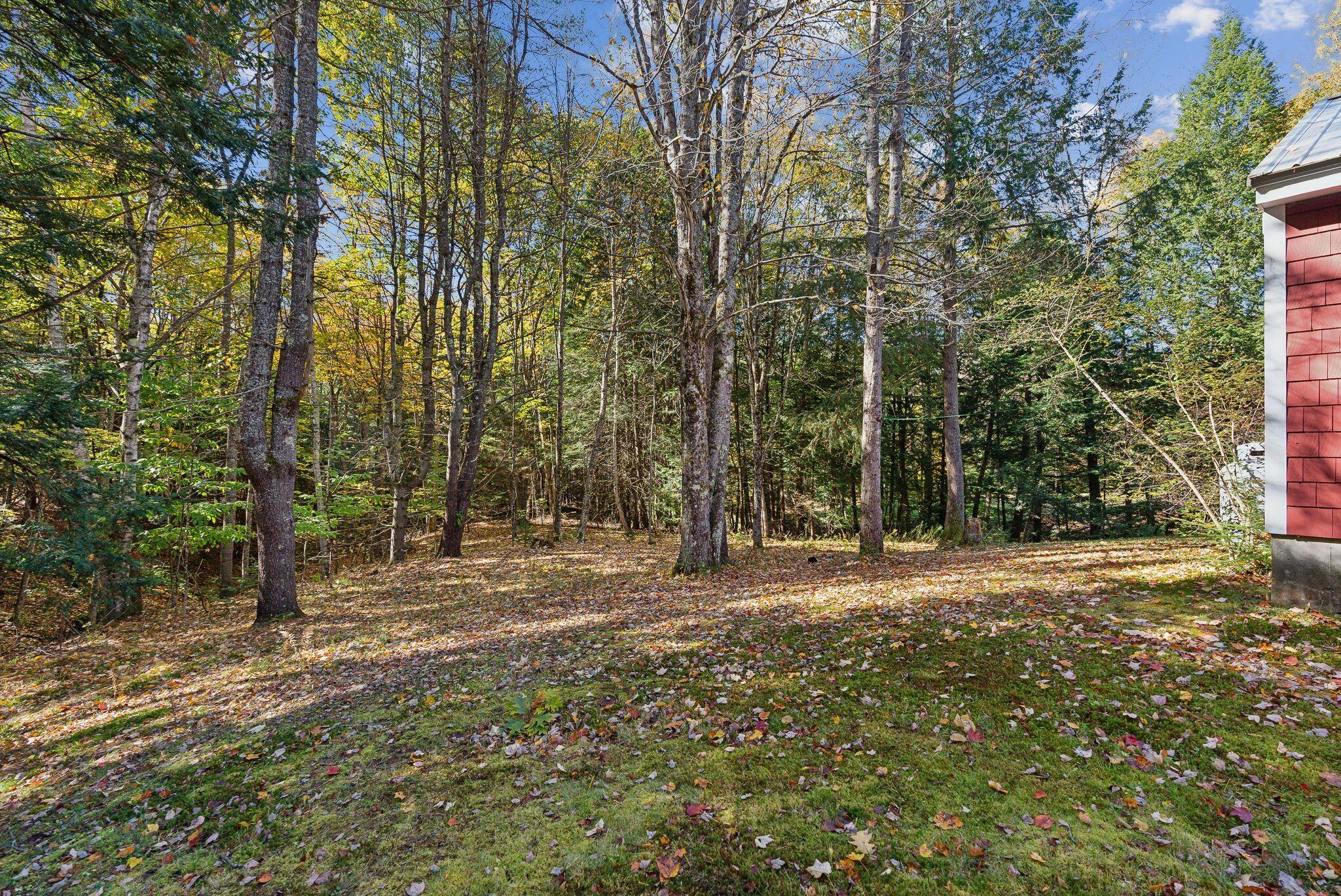 71 Desert Road Freeport, ME 04032 - Photo 6 of 34 Side Yard