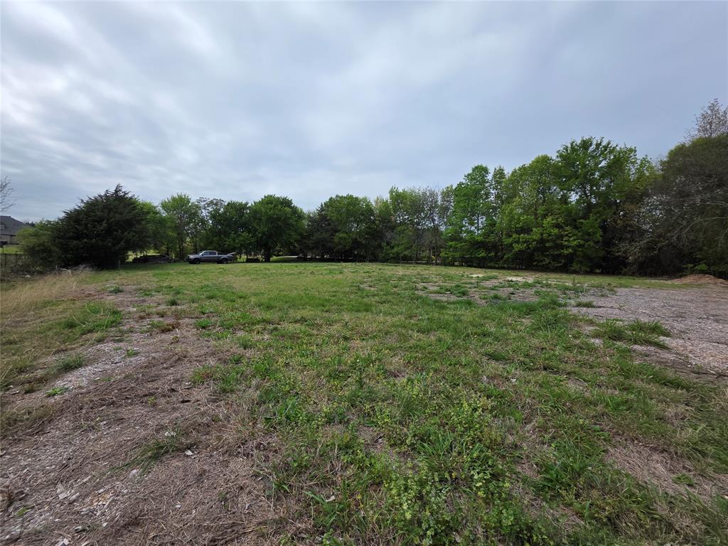 791 Country Club Road Fairview, TX 75069 - Photo 1 of 4 a view of a field with trees in background