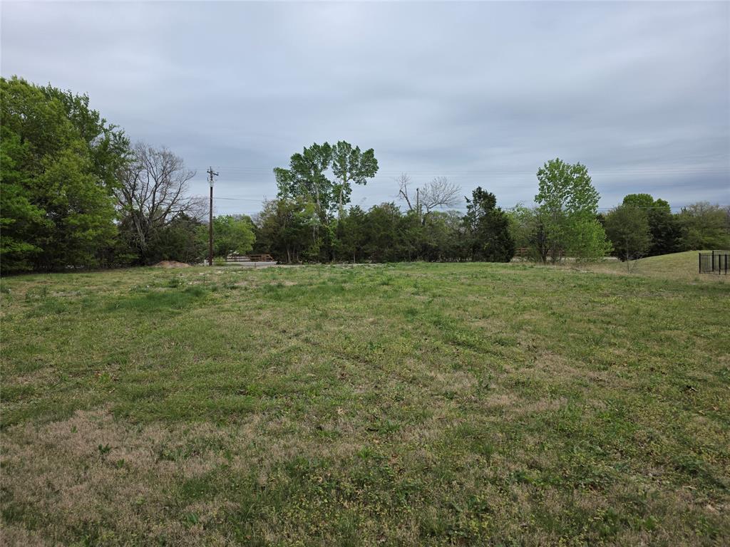 791 Country Club Road Fairview, TX 75069 - Photo 2 of 4 a view of a field with trees in background