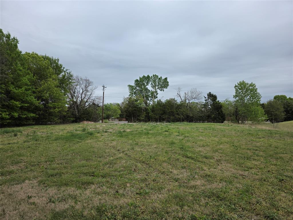791 Country Club Road Fairview, TX 75069 - Photo 3 of 4 a view of outdoor space and yard