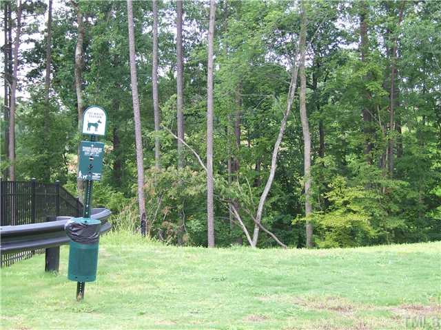 7803 Lillyhurst Drive Raleigh, NC 27612 - Photo 15 of 25 a view of a backyard with a garden