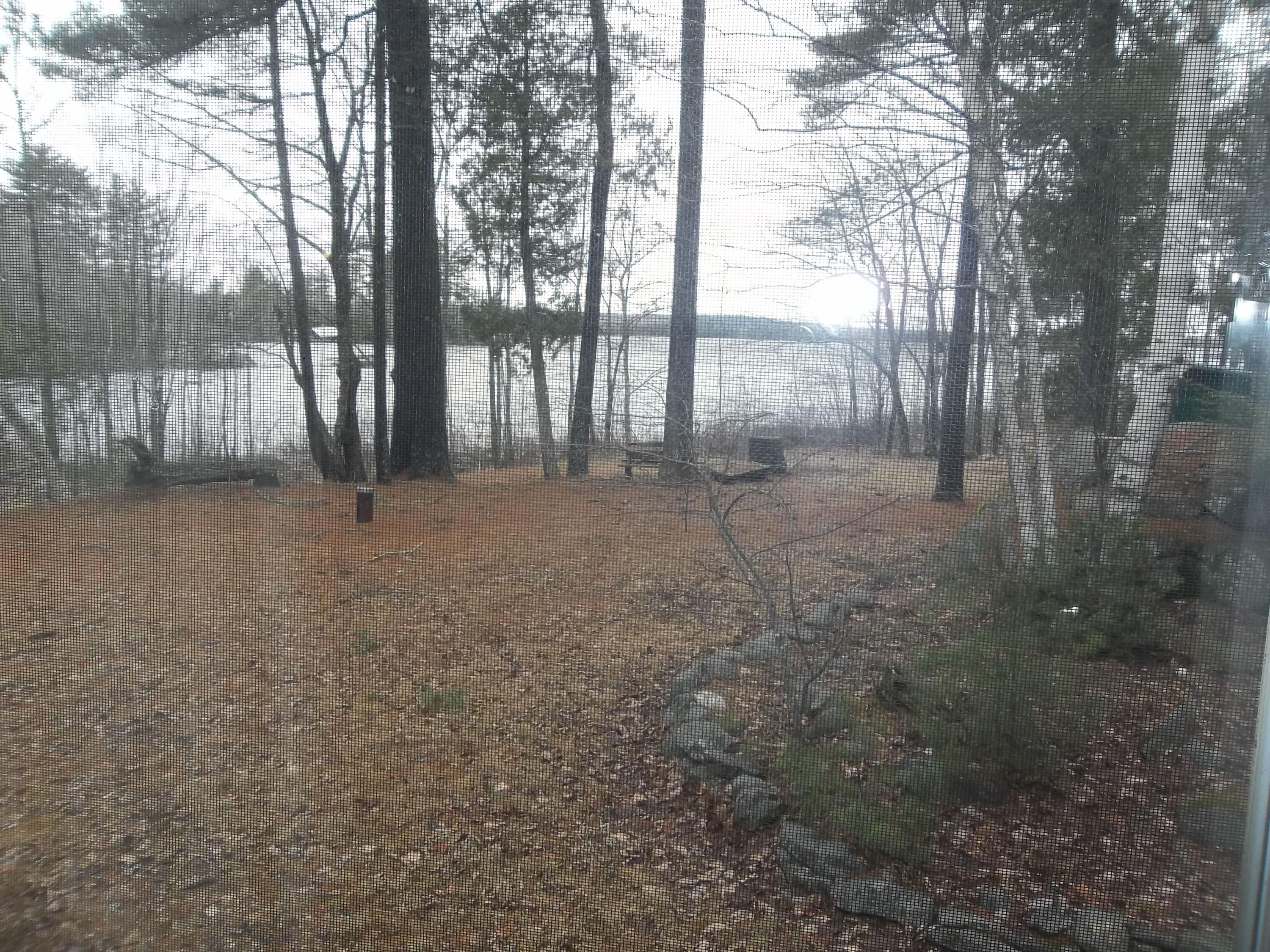 8 Varney Loop Crawford, ME 04694 - Photo 15 of 31 100_1959