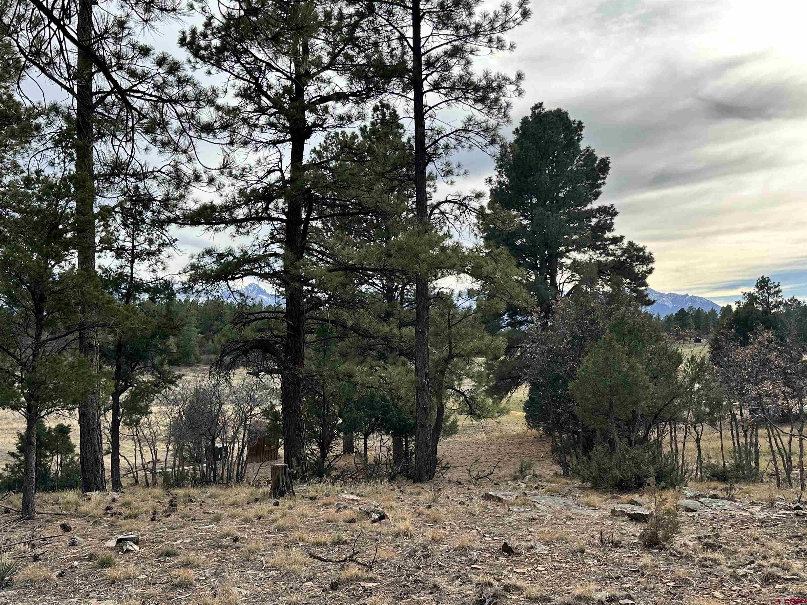 46 Marmot Court Ridgway, CO 81432 - Photo 13 of 13 a view of outdoor space