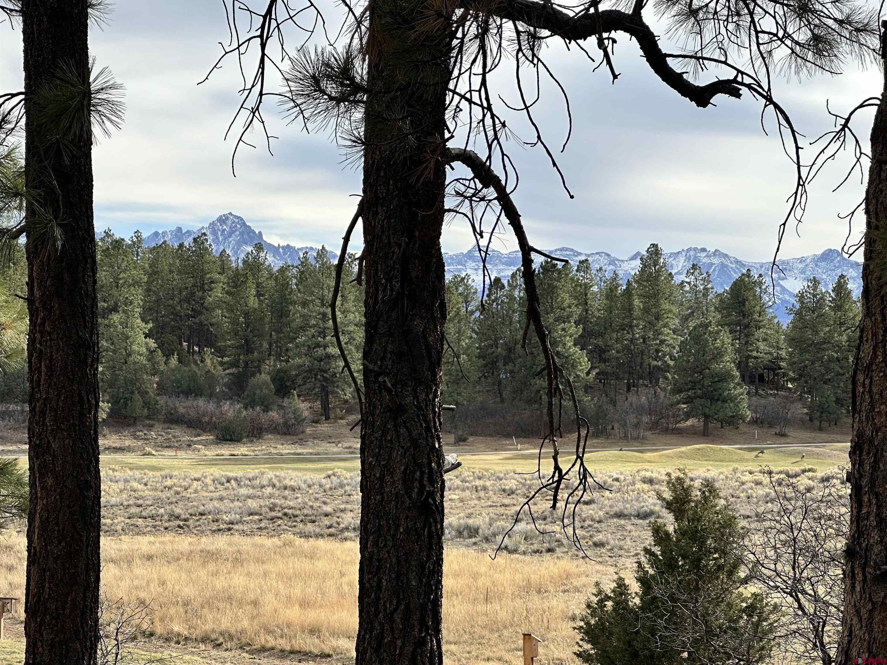 46 Marmot Court Ridgway, CO 81432 - Photo 7 of 13 a view of a yard with a tree