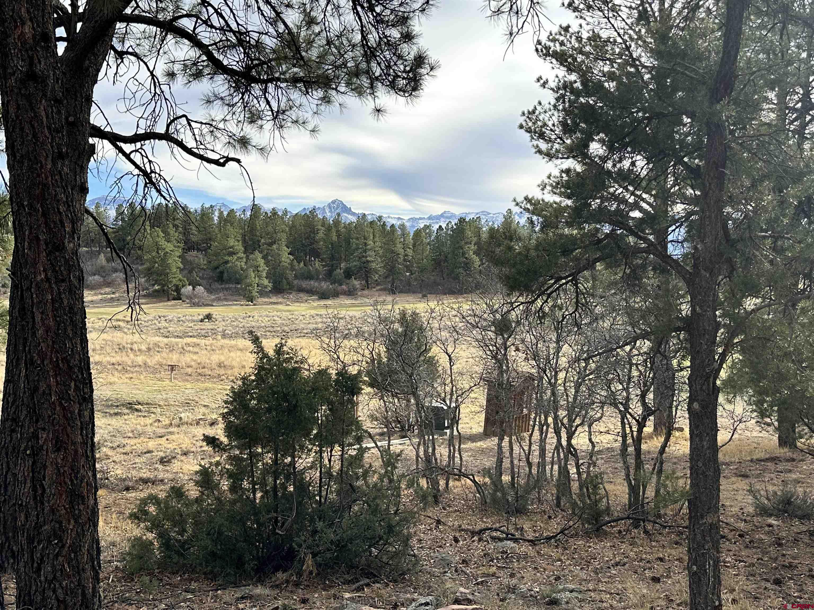 46 Marmot Court Ridgway, CO 81432 - Photo 8 of 13 a view of mountain view with lots of trees