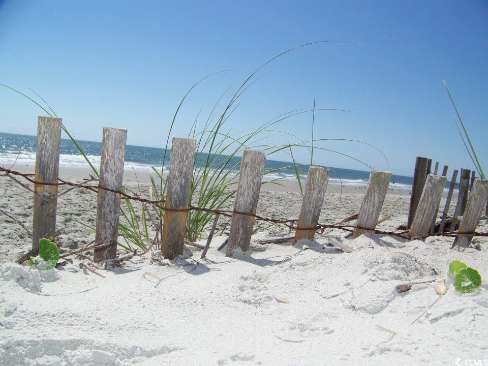 161 Easy Street Murrells Inlet, SC 29576 - Photo 39 of 40 View of yard with view of water and beach