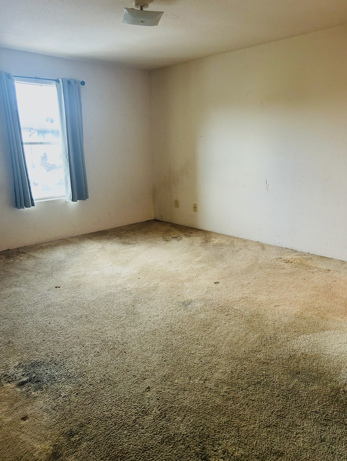 6161 Reims Road, Unit 1013 Houston, TX 77036 - Photo 7 of 11