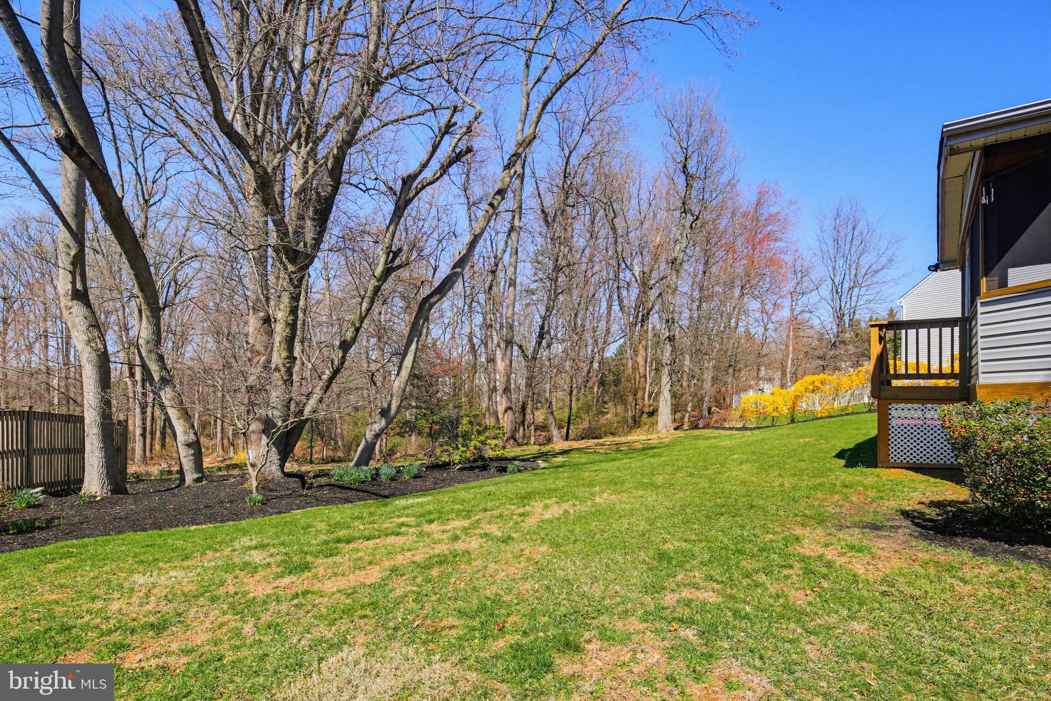 8307 Spring Blossom Court Laurel, MD 20723 - Photo 64 of 69 a view of a backyard with large trees
